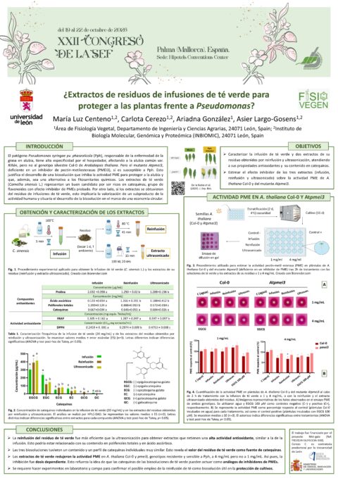 Póster: ¿Extractos de residuos de infusiones de té para proteger a plantas frente a Pseudomonas?