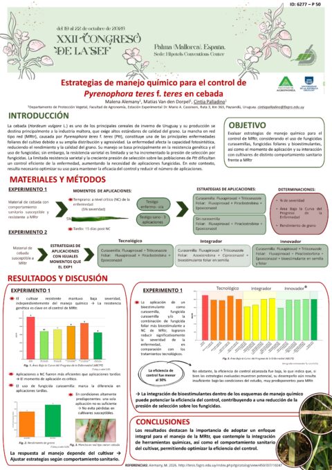 Póster: Estrategias de manejo químico para el control de Pyrenophora teres f. teres en cebada