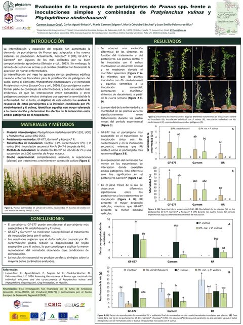 Póster: Evaluación de la respuesta de portainjertos de Prunus spp. frente a inoculaciones simples y combinadas de Pratylenchus vulnus y Phytophthora niederhauserii