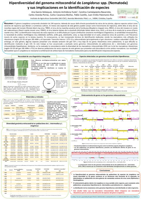 Póster: Hiperdiversidad del genoma mitocondrial de Longidorus spp. (Nematoda) y sus implicaciones en la identificación de especies