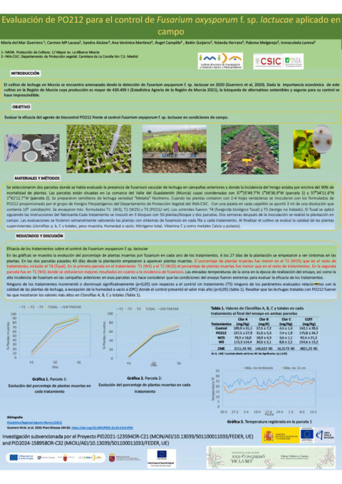 Póster: Evaluación de PO212 para el control de Fusarium oxysporum f. sp. lactucae aplicado en campo