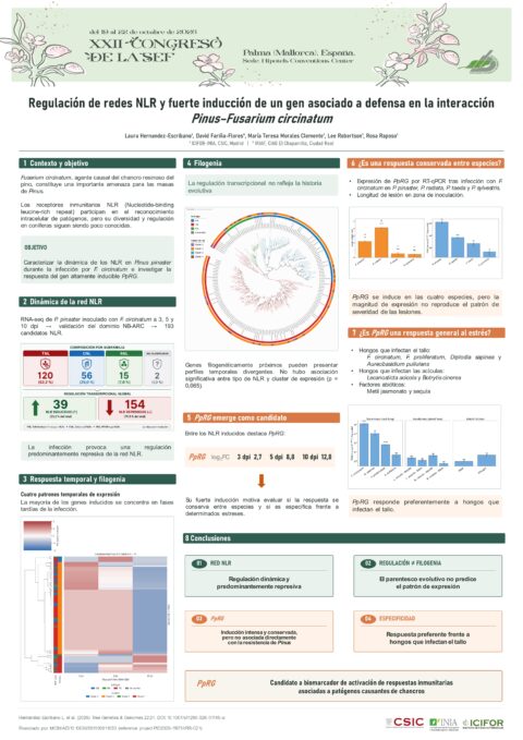 Póster: Regulación de redes NLR y fuerte inducción de un gen asociado a defensa en la interacción Pinus–Fusarium circinatum