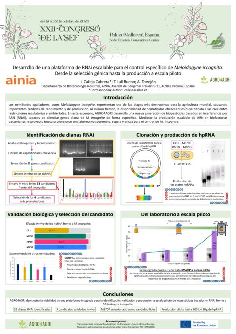 Póster: Desarrollo de una plataforma de RNAi escalable para el control específico de Meloidogyne incognita: desde la selección génica hasta la producción a escala piloto