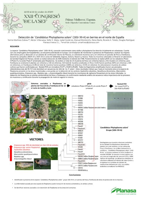 Póster: Detección de ´Candidatus Phytoplasma solani` (16Sr XII-A) en berries en el norte de España