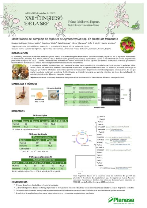 Póster: Identificación del complejo de especies de Agrobacterium spp. en plantas de frambueso
