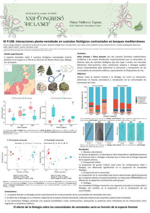 Póster: Interacciones planta-nemátodo en sustratos litológicos contrastados en bosques mediterráneos