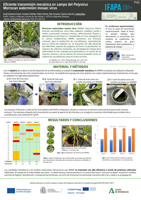 Póster: Eficiente transmisión mecánica en campo del Potyvirus Morrocan watermelon mosaic virus