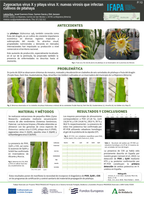 Póster: Zygocactus virus X y Pitaya virus X: nuevas virosis que infectan cultivos de pitahaya