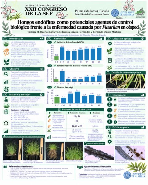 Póster: Hongos endófitos como potenciales agentes de control biológico frente a la enfermedad causada por Fusarium en césped