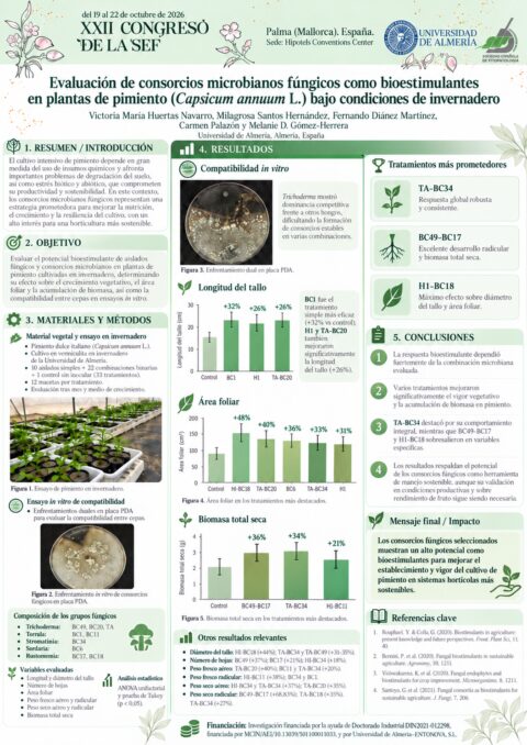 Póster: Evaluación de consorcios microbianos fúngicos como bioestimulantes en plantas de pimiento (Capsicum annuum L.) bajo condiciones de invernadero