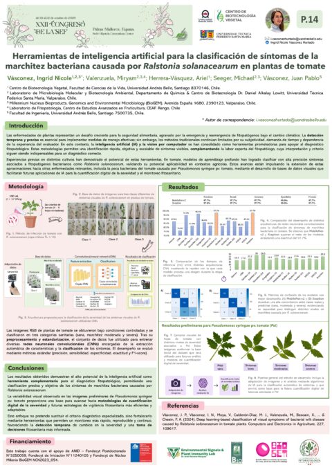 Póster: Herramientas de inteligencia artificial para la clasificación de síntomas de la marchitez bacteriana causada por Ralstonia solanacearum en plantas de tomate