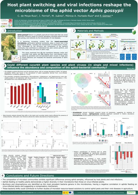 Póster: Host Plant Switching and Viral Infections Reshape the Microbiome of the Aphid Vector Aphis gossypii