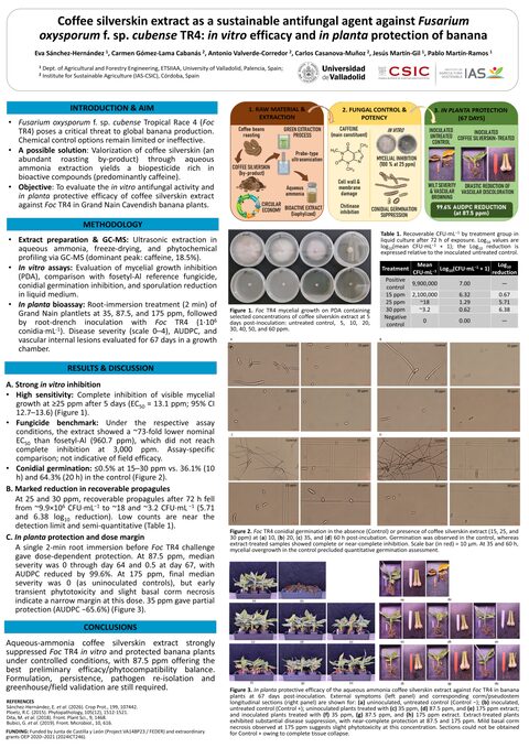 Póster: Piel de plata de café contra la fusariosis vascular del banano