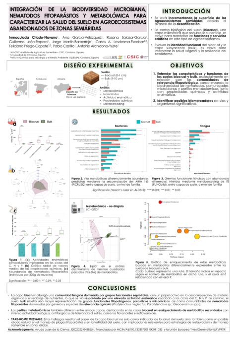 Póster: Integración de la biodiversidad microbiana, nematodos fitoparásitos y metabolómica para caracterizar la salud del suelo en agroecosistemas abandonados de zonas semiáridas