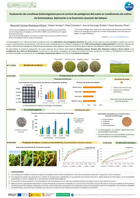 Póster: Evaluación de crucíferas biofumigantes para el control de patógenos del suelo en condiciones de cultivo de Extremadura. Aplicación a la fusariosis vascular del tabaco.
