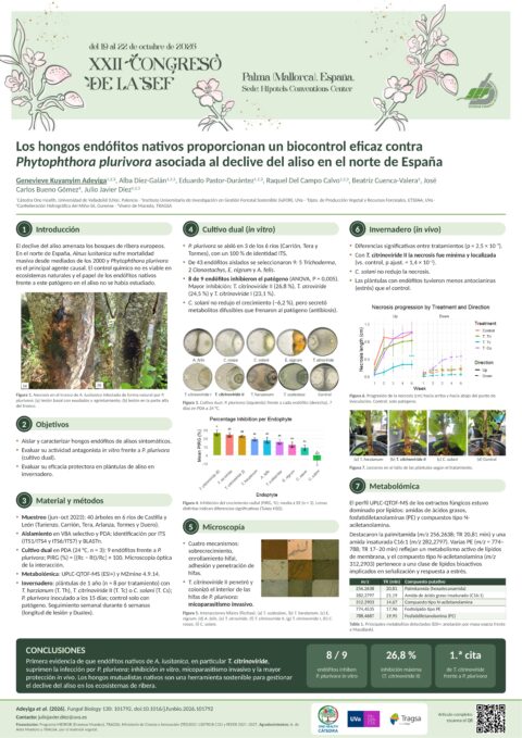 Póster: Los hongos endófitos nativos proporcionan un biocontrol eficaz contra Phytophthora Plurivora asociada al declive del aliso en el norte de España