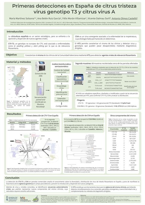 Póster: Primeras detecciones en España de citrus tristeza virus genotipo T3 y citrus virus A