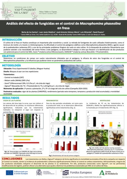 Póster: Análisis del efecto de fungicidas en el control de Macrophomina phaseolina en fresa.