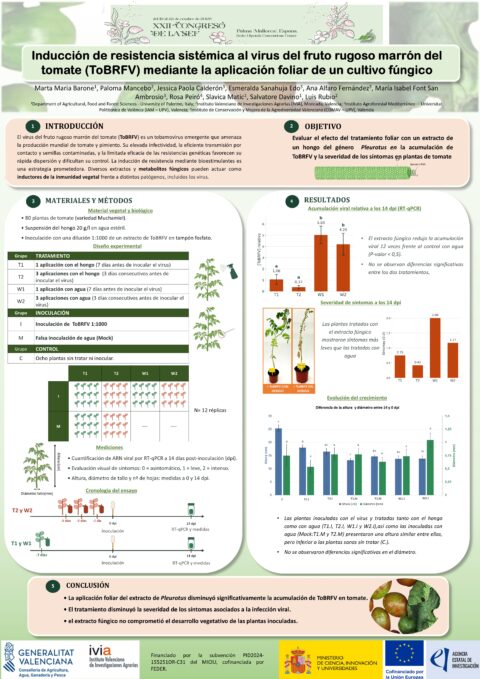 Póster: Induction of systemic resistance to tomato brown rugose fruit virus (ToBRFV) in tomato by foliar application of a fungal culture