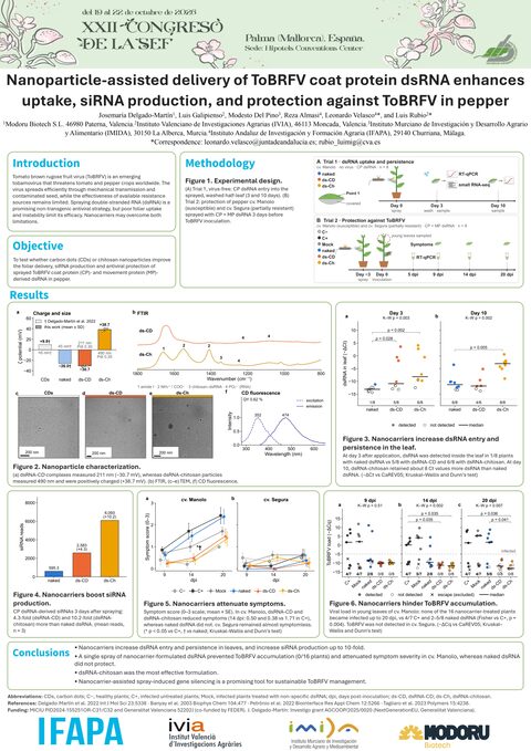 Póster: Nanoparticle-assisted delivery of ToBRFV coat protein dsRNA enhances uptake, siRNA production, and protection against tomato brown rugose fruit virus in pepper
