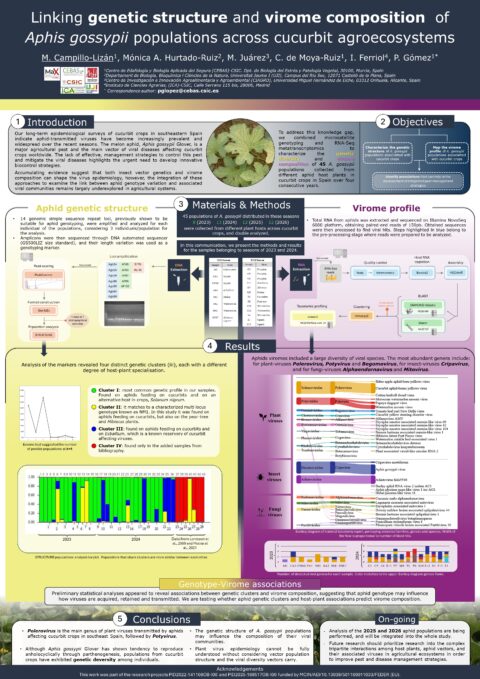 Póster: Linking virome composition to genetic structure of Aphis gossypii populations across cucurbit agroecosystems.