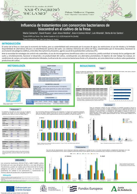 Póster: Influencia de tratamientos con consorcios bacterianos de biocontrol en el cultivo de la fresa