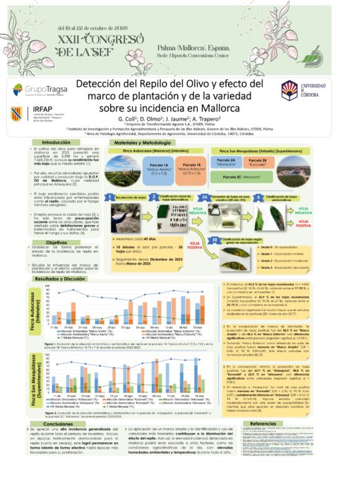 Póster: Detección del Repilo del Olivo y efecto del marco de plantación y de la variedad sobre su incidencia en Mallorca