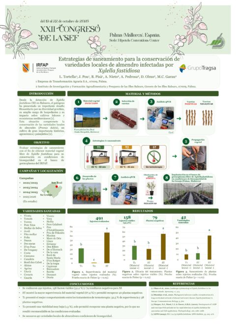 Póster: Estrategias de saneamiento para la conservación de variedades locales de almendro infectadas por Xylella fastidiosa