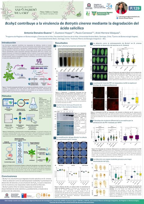 Póster: BcShy1 contribuye a la virulencia de Botrytis cinerea mediante la degradación del ácido salicílico