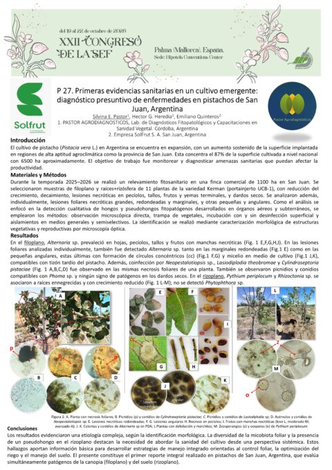 Póster: Primeras evidencias sanitarias en un cultivo emergente: diagnóstico presuntivo de enfermedades en pistachos de San Juan, Argentina