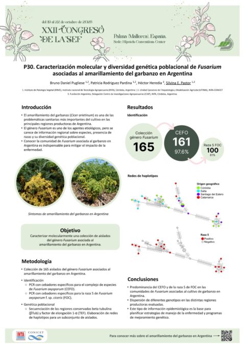 Póster: Caracterización molecular y diversidad genética poblacional de Fusarium asociadas al amarillamiento del garbanzo en Argentina