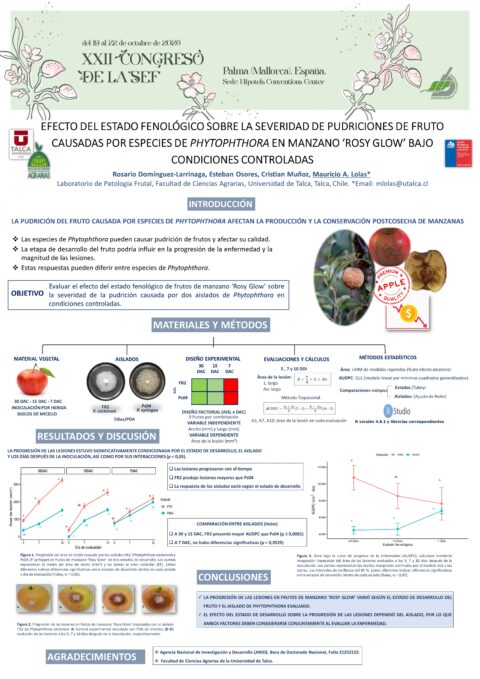 Póster: Efecto del estado fenológico sobre la severidad de pudriciones de fruto causadas por especies de Phytophthora en manzano ‘Rosy Glow’ bajo condiciones controladas