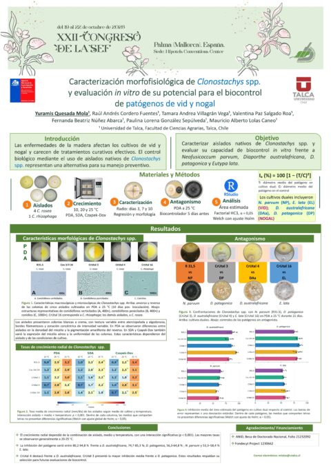 Póster: Caracterización morfofisiológica de Clonostachys spp. y evaluación in vitro de su potencial para el biocontrol de patógenos de vid y nogal