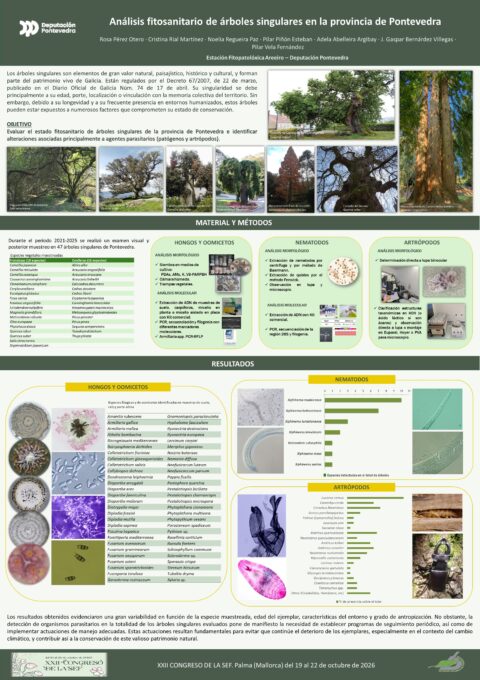 Póster: Análisis fitosanitario de árboles monumentales en la provincia de Pontevedra