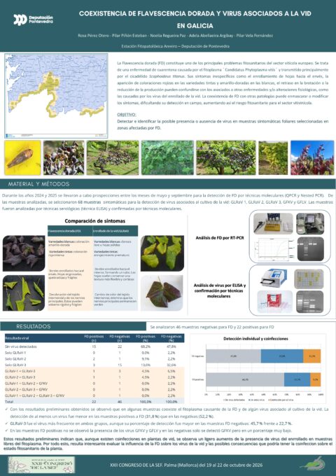 Póster: Coexistencia de flavescencia dorada y virus asociados a la vid en Galicia