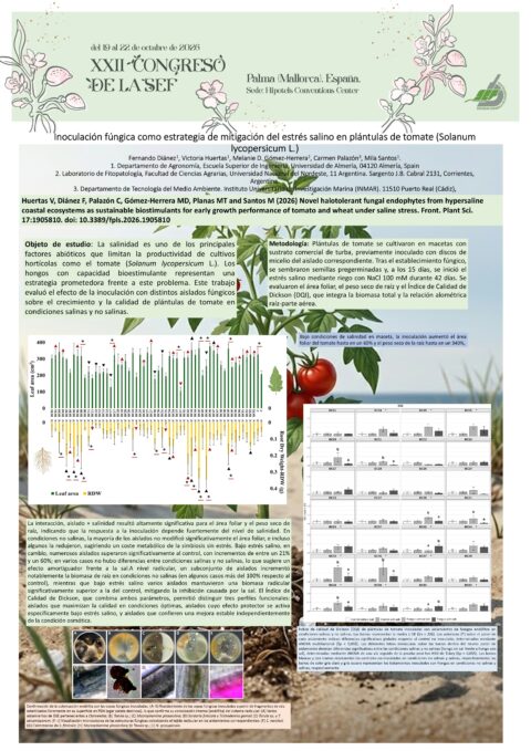 Póster: Inoculación fúngica como estrategia de mitigación del estrés salino en plántulas de tomate (Solanum lycopersicum L.)