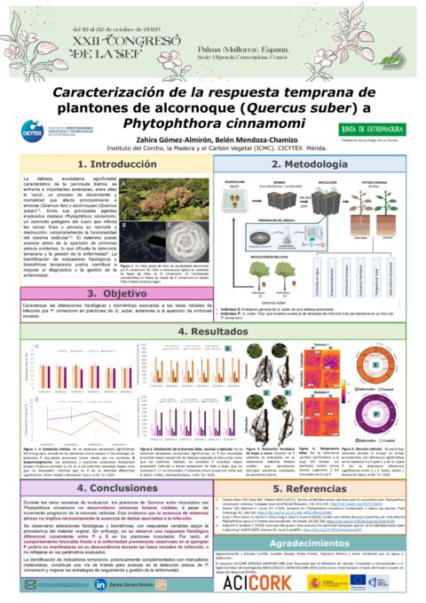 Póster: Identificación de signos para un diagnóstico precoz de infección por Phytophthora cinnamomi en plantones de alcornoque