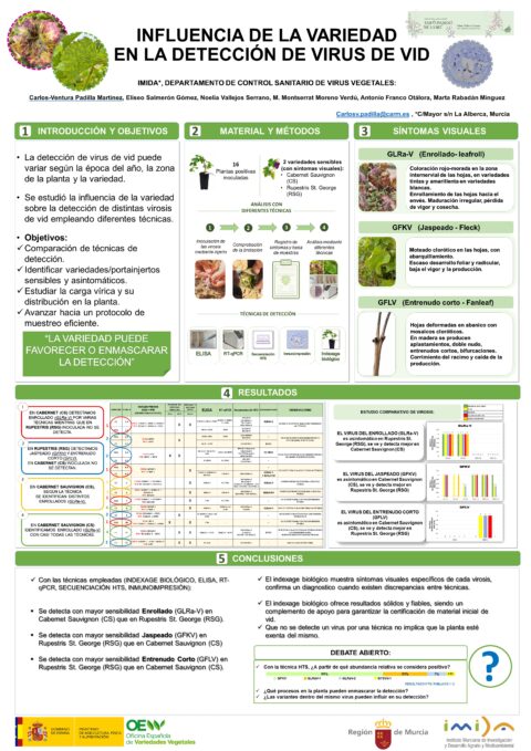 Póster: Influencia de la variedad en la detección de virus de vid.
