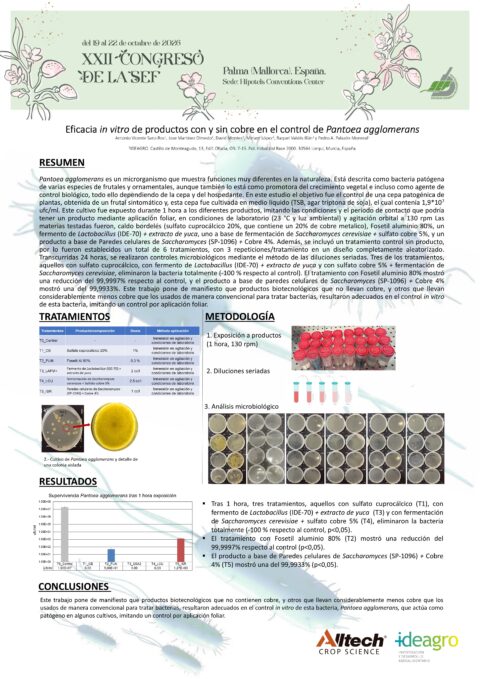 Póster: Eficacia in vitro de productos con y sin cobre en el control de Pantoea agglomerans